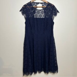 Kensie Dress‎ Women's Size 14 Navy Lace Fit & Flare A-Line Skirt Knee Length